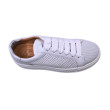 agl baskets