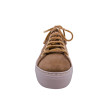 agl baskets