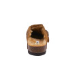 Scholl mules